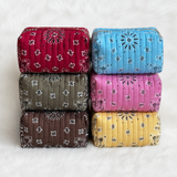 6 of cosmetic cases stacked up in different colors with paisley bandana print, yellos, brown on the bottom, pink olive green in the middle, red and blue on top. white background