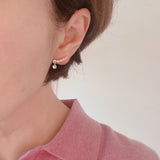 Crystal-Drop-Climber-Earrings-2