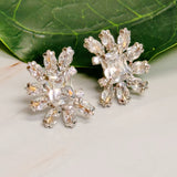 Aretes con joya con costra brillante