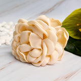 Pince à cheveux double face May Rose