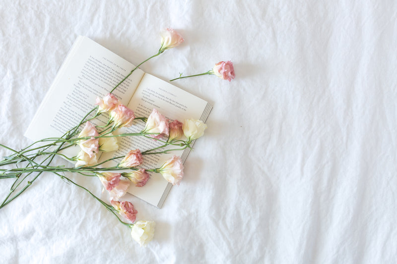 Pink Rose flowers laid over an open book on a white surface