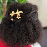 Ensemble de pinces à cheveux de jardin antique