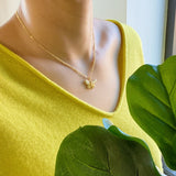 Collar Mariposa En Vuelo