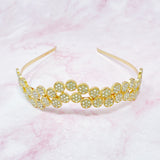 Diadema Brilla En Círculos