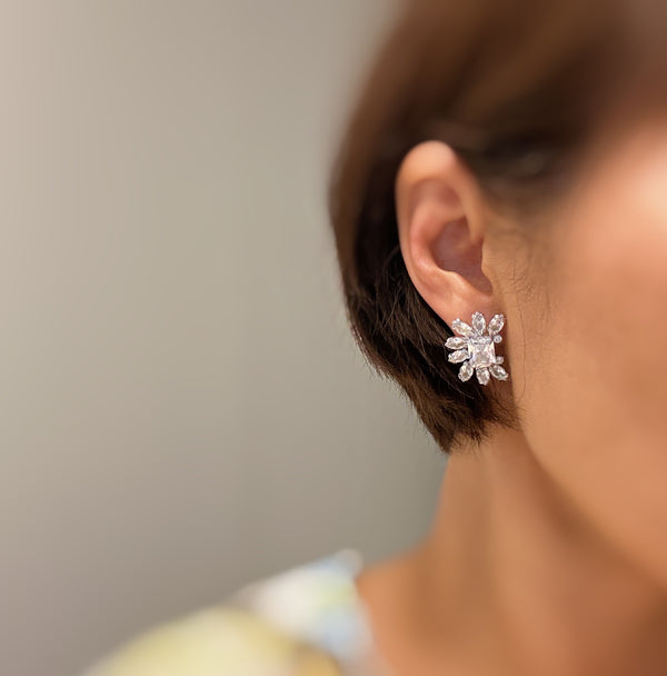 Shine Crusted Jewel Stud Earrings