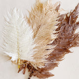 Preserved Fern Tall Leaf Bunch