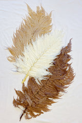 Preserved Fern Tall Leaf Bunch