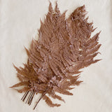 Preserved Fern Tall Leaf Bunch