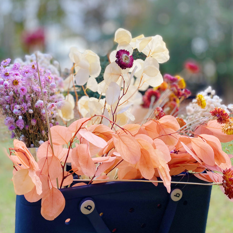 Captured Beauty Dried Flower Bunch