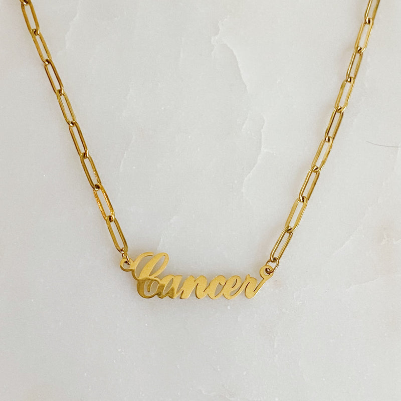 Annie Zodiac Chain Necklace Prepack
